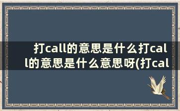 打call的意思是什么打call的意思是什么意思呀(打call 的意思)